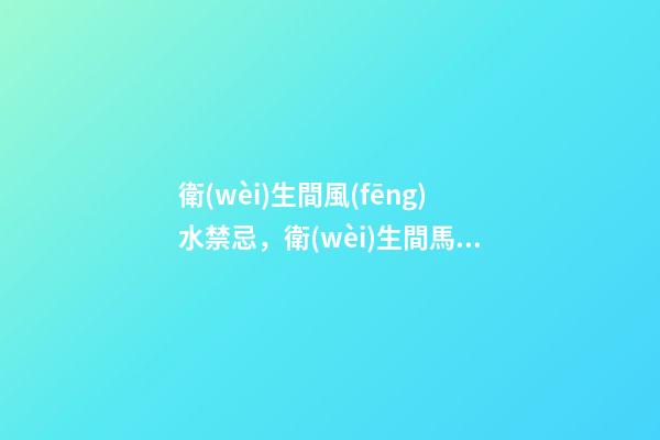 衛(wèi)生間風(fēng)水禁忌，衛(wèi)生間馬桶的六大風(fēng)水講究