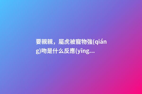 要親親，屬虎被寵物強(qiáng)吻是什么反應(yīng)