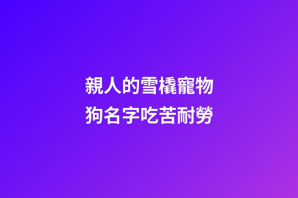 親人的雪橇寵物狗名字吃苦耐勞
