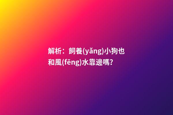 解析：飼養(yǎng)小狗也和風(fēng)水靠邊嗎？