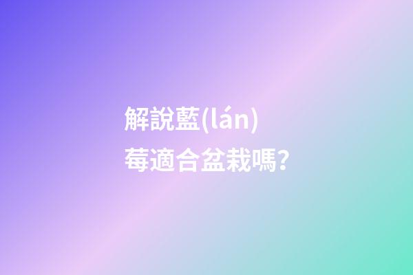 解說藍(lán)莓適合盆栽嗎？