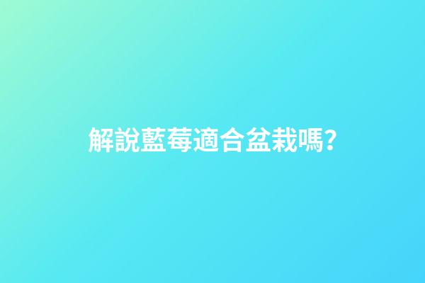 解說藍莓適合盆栽嗎？