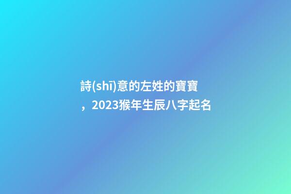 詩(shī)意的左姓的寶寶，2023猴年生辰八字起名