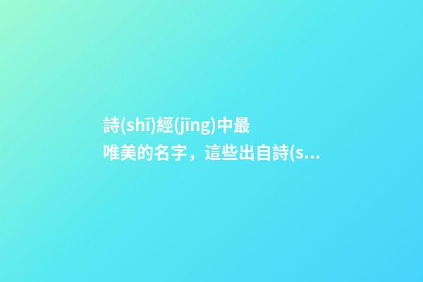 詩(shī)經(jīng)中最唯美的名字，這些出自詩(shī)經(jīng)的名字最美好（詩(shī)經(jīng)中最唯美的名字,這些出自詩(shī)經(jīng)的名字最美好的詩(shī)句）