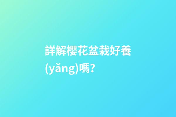 詳解櫻花盆栽好養(yǎng)嗎？