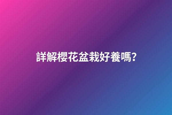 詳解櫻花盆栽好養嗎？