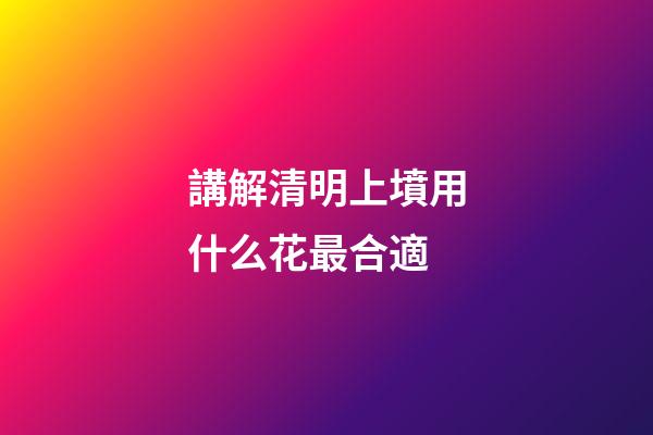 講解清明上墳用什么花最合適