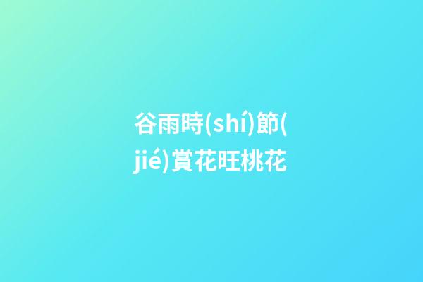 谷雨時(shí)節(jié)賞花旺桃花