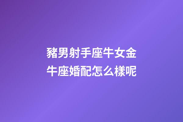 豬男射手座牛女金牛座婚配怎么樣呢-第1張-星座運勢-玄機派