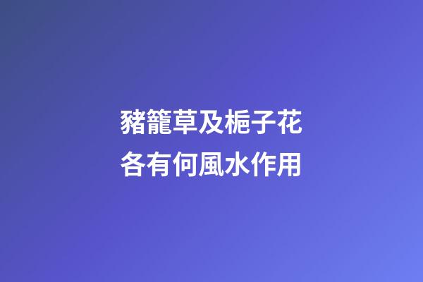 豬籠草及梔子花各有何風水作用?