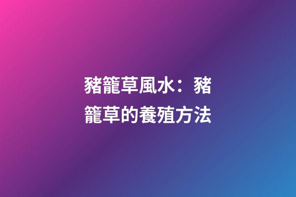 豬籠草風水：豬籠草的養殖方法