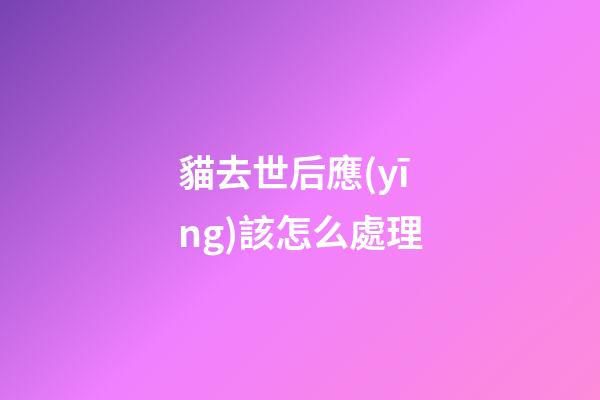 貓去世后應(yīng)該怎么處理