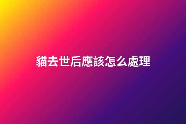 貓去世后應該怎么處理