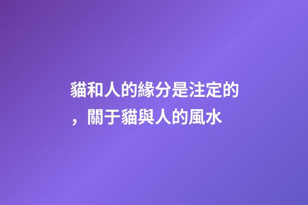 貓和人的緣分是注定的，關于貓與人的風水
