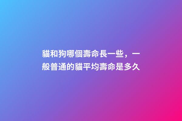 貓和狗哪個壽命長一些，一般普通的貓平均壽命是多久-第1張-觀點-玄機派