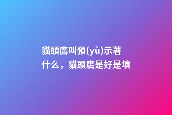 貓頭鷹叫預(yù)示著什么，貓頭鷹是好是壞