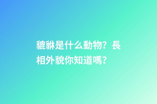 貔貅是什么動物？長相外貌你知道嗎？