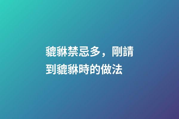 貔貅禁忌多，剛請到貔貅時的做法