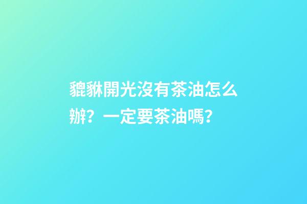 貔貅開光沒有茶油怎么辦？一定要茶油嗎？