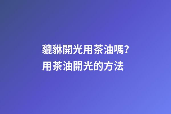 貔貅開光用茶油嗎？用茶油開光的方法