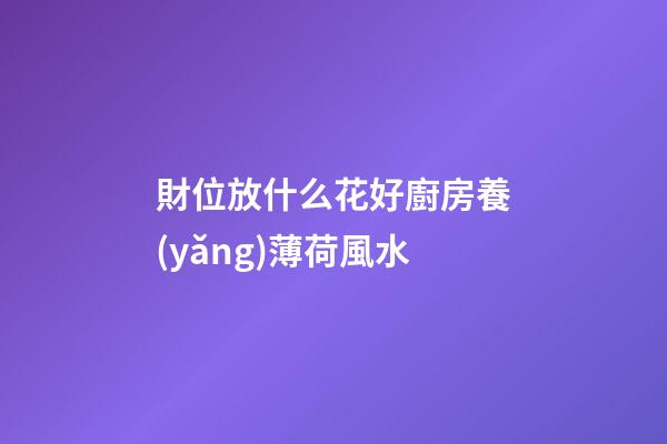 財位放什么花好廚房養(yǎng)薄荷風水