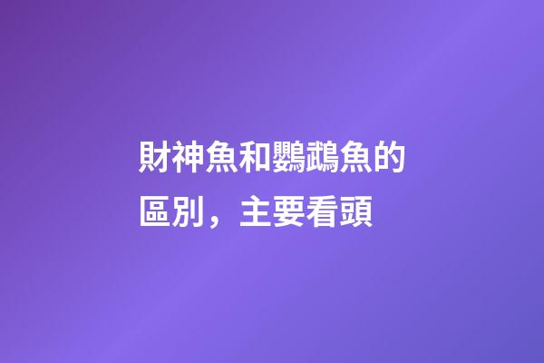 財神魚和鸚鵡魚的區別，主要看頭