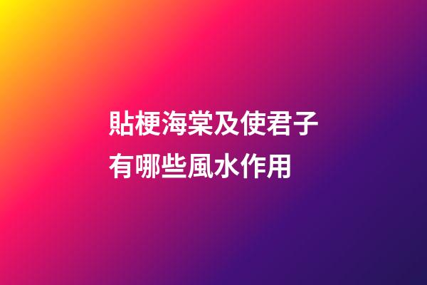 貼梗海棠及使君子有哪些風水作用?