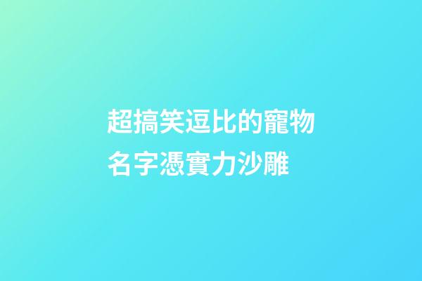 超搞笑逗比的寵物名字憑實力沙雕