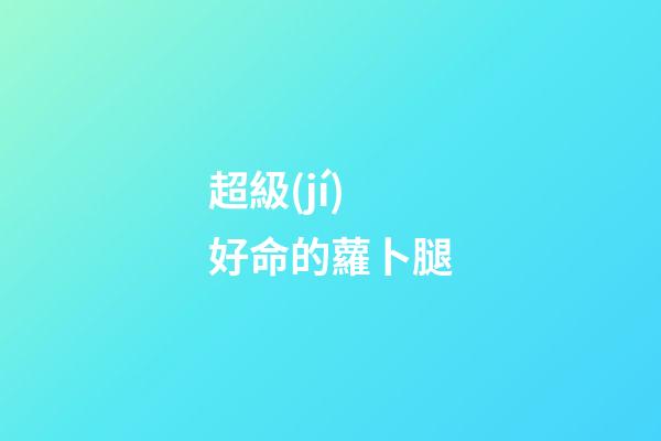 超級(jí)好命的蘿卜腿