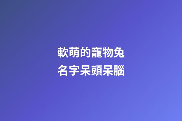 軟萌的寵物兔名字呆頭呆腦