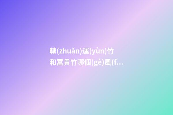 轉(zhuǎn)運(yùn)竹和富貴竹哪個(gè)風(fēng)水更好，擺放竹子的講究