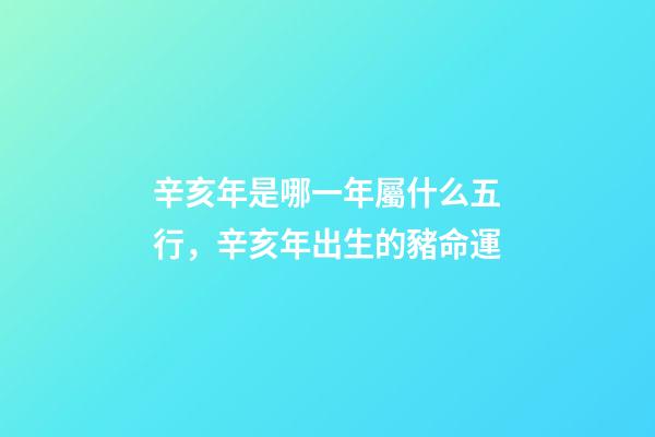 辛亥年是哪一年屬什么五行，辛亥年出生的豬命運