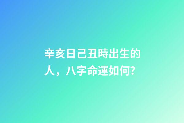 辛亥日己丑時出生的人，八字命運如何？