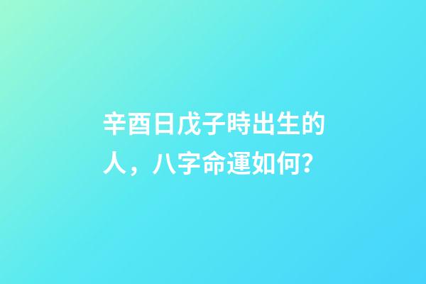 辛酉日戊子時出生的人，八字命運如何？