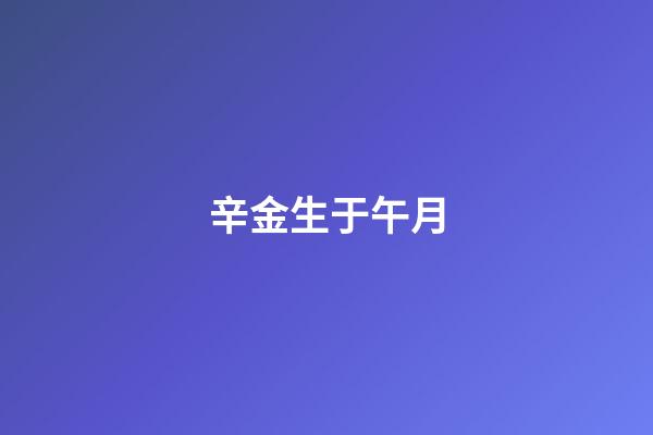 辛金生于午月