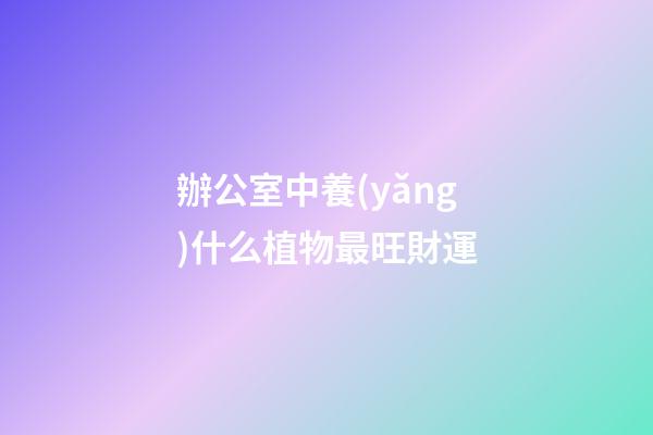 辦公室中養(yǎng)什么植物最旺財運