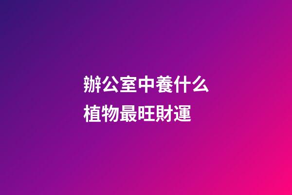 辦公室中養什么植物最旺財運