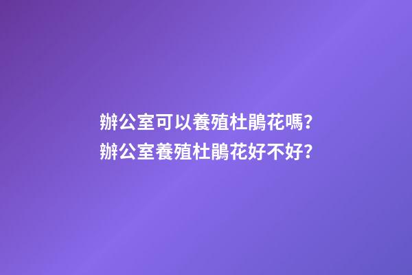 辦公室可以養殖杜鵑花嗎？辦公室養殖杜鵑花好不好？