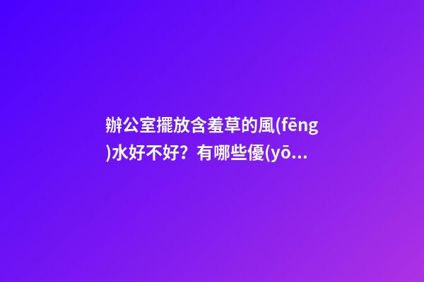 辦公室擺放含羞草的風(fēng)水好不好？有哪些優(yōu)點(diǎn)和缺點(diǎn)？
