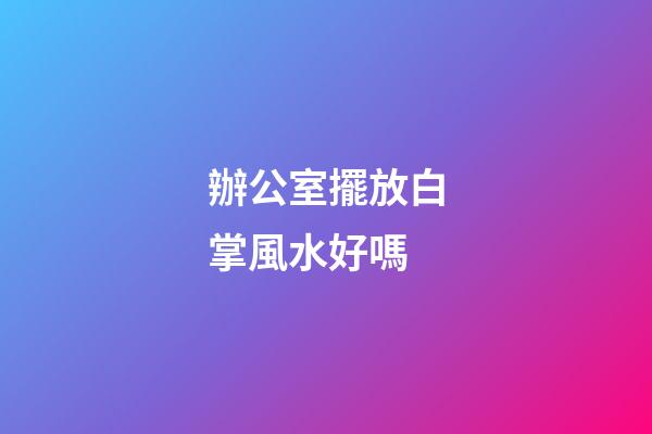 辦公室擺放白掌風水好嗎
