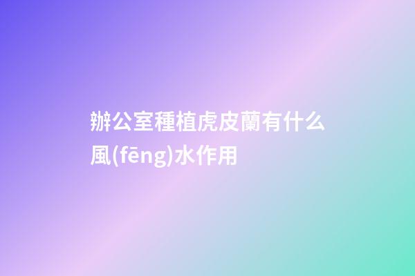 辦公室種植虎皮蘭有什么風(fēng)水作用