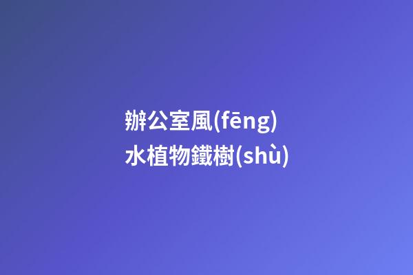 辦公室風(fēng)水植物鐵樹(shù)