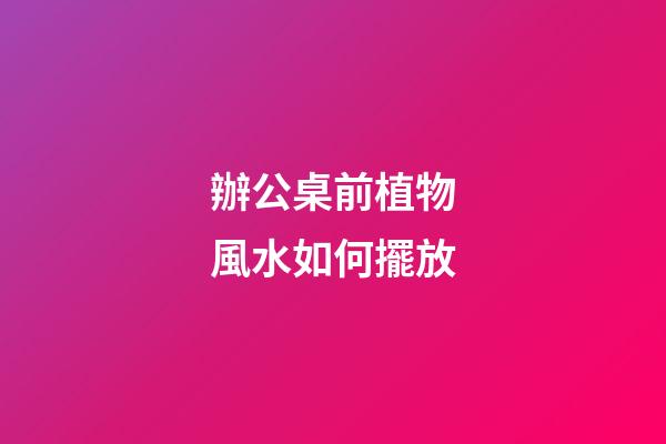 辦公桌前植物風水如何擺放