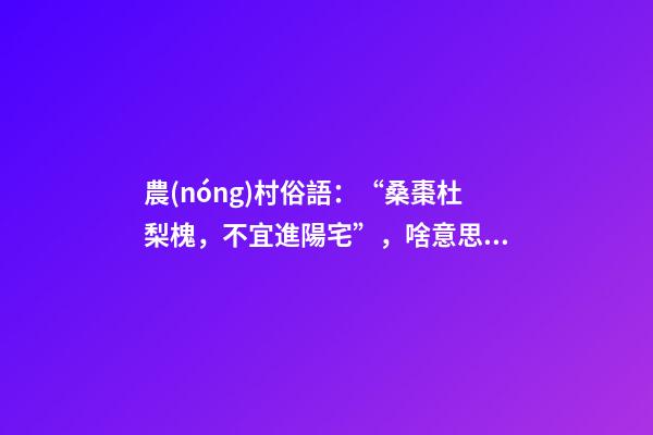 農(nóng)村俗語：“桑棗杜梨槐，不宜進陽宅”，啥意思？看完明白了