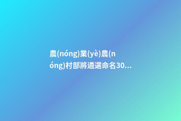 農(nóng)業(yè)農(nóng)村部將遴選命名300個(gè)現(xiàn)代農(nóng)業(yè)全產(chǎn)業(yè)鏈標(biāo)準(zhǔn)化基地
