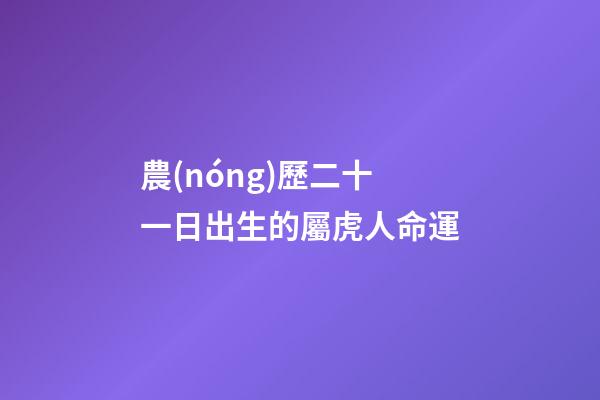 農(nóng)歷二十一日出生的屬虎人命運