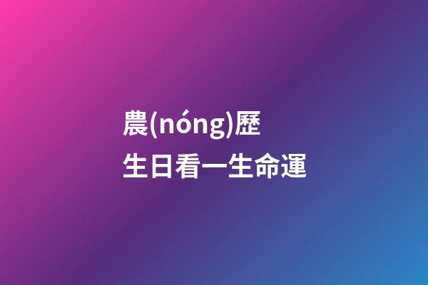 農(nóng)歷生日看一生命運