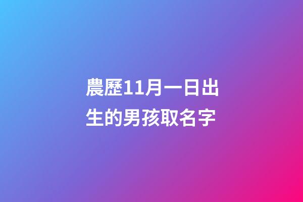 農歷11月一日出生的男孩取名字(農歷11月1日出生的名人是哪些人)-第1張-男孩起名-玄機派