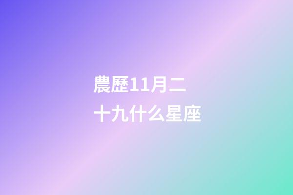 農歷11月二十九什么星座-第1張-星座運勢-玄機派