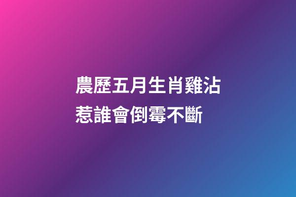 農歷五月生肖雞沾惹誰會倒霉不斷